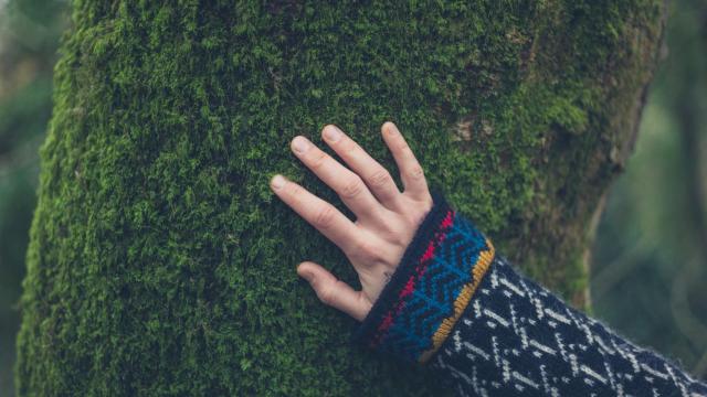 Día Mundial de la Naturaleza 2020: la importancia de esta celebración