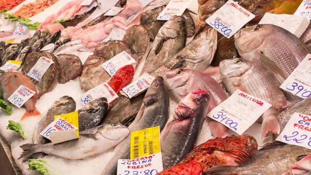 Muestrario de pescadería.