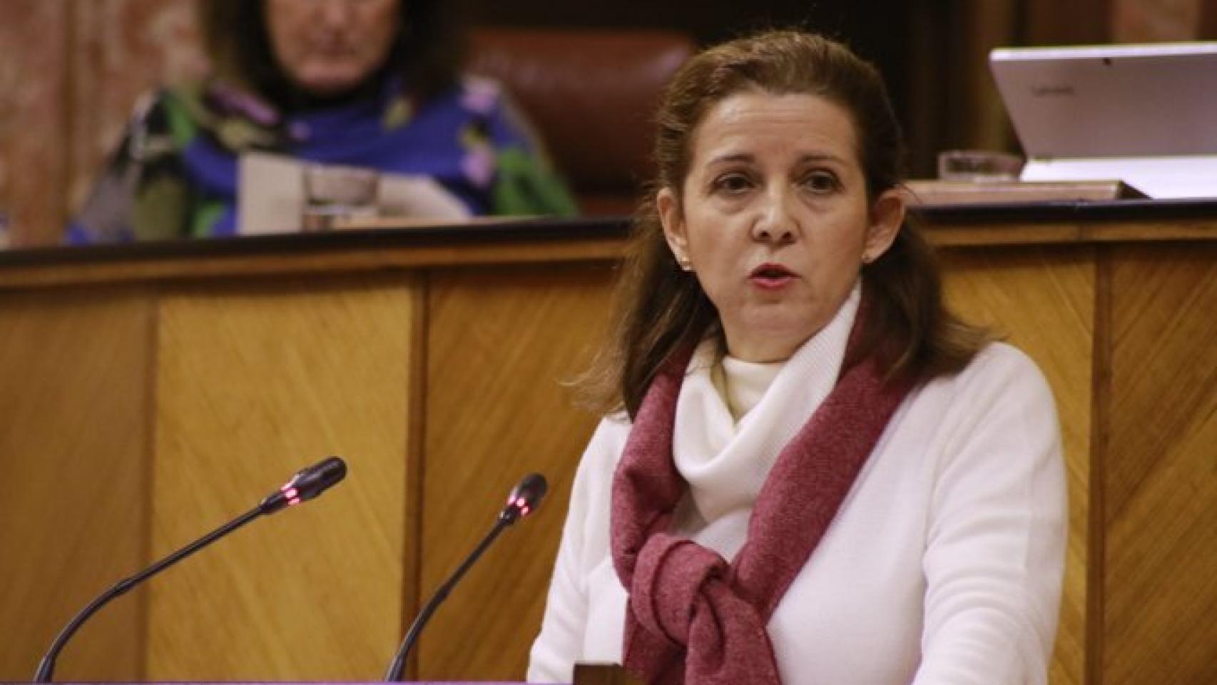 María José Piñero, expresidenta de Vox Sevilla y diputada autonómica.