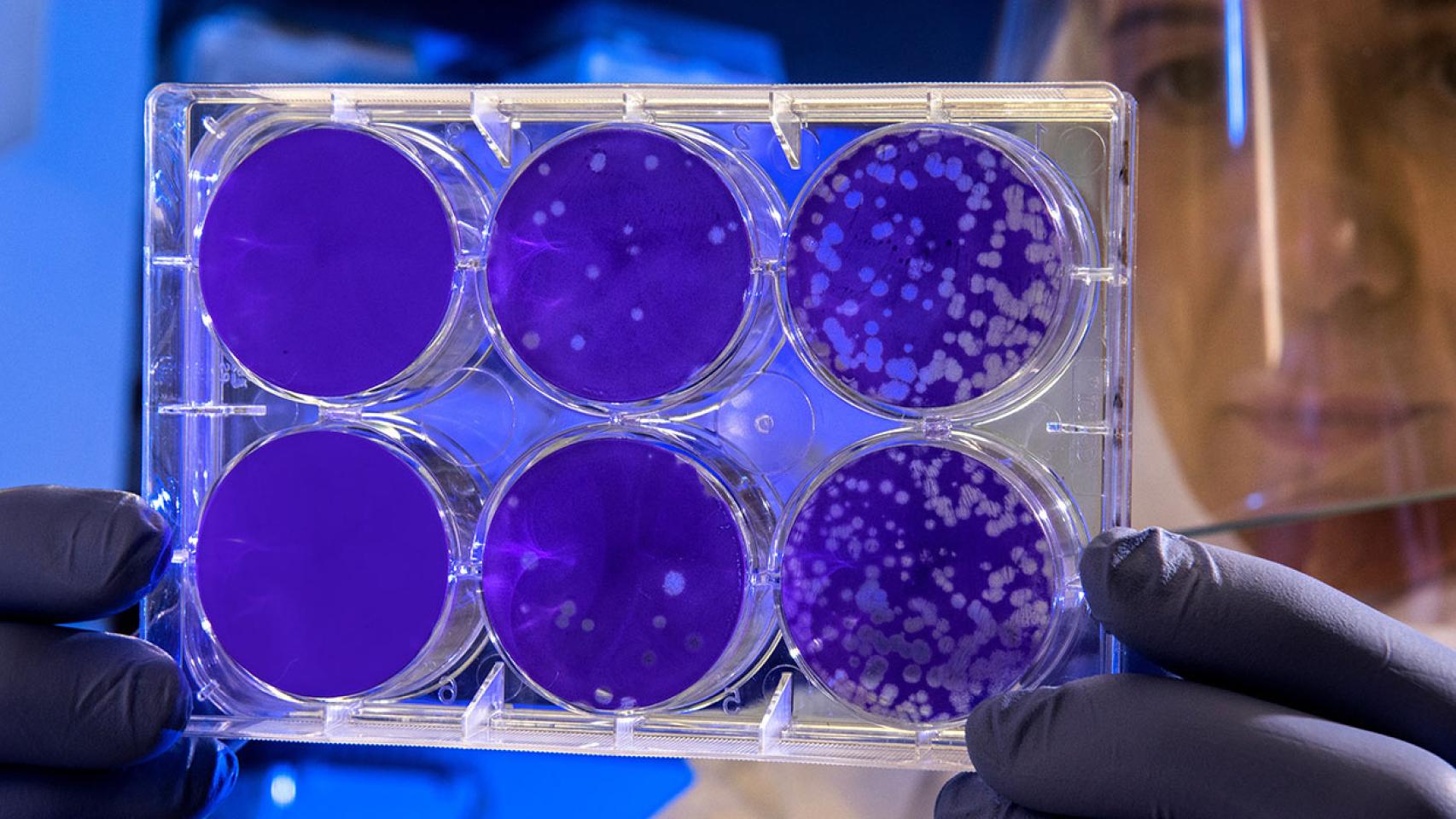 El big data demuestra su potencial en proyectos como Pan-Cancer.