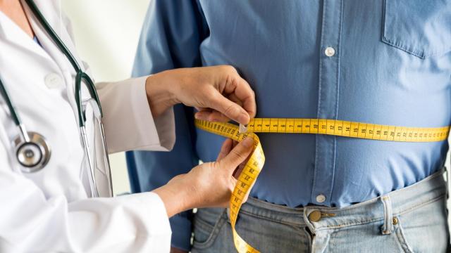 La lucha contra la obesidad en Occidente es una de las prioridades en la medicina.