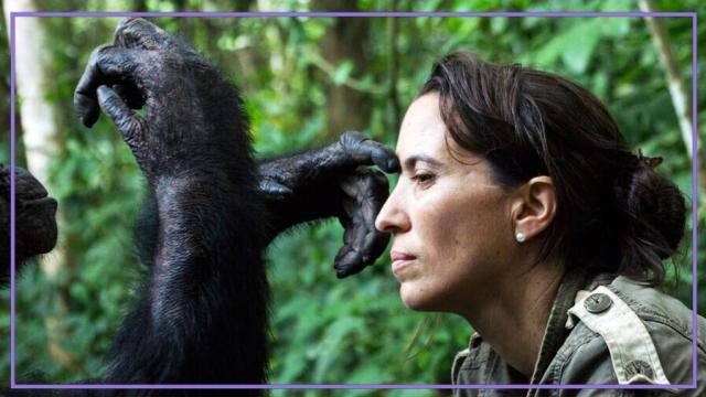 Rebeca Atencia junto a uno de los chimpancés que ha rescatado en el Congo.