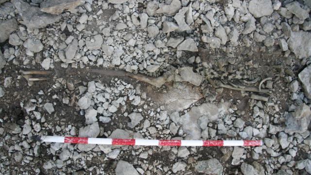 Restos hallados en Almallutx.