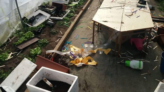 Imagen de los destrozos.