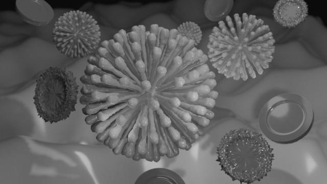 Hacia un Presupuesto de unidad contra el coronavirus