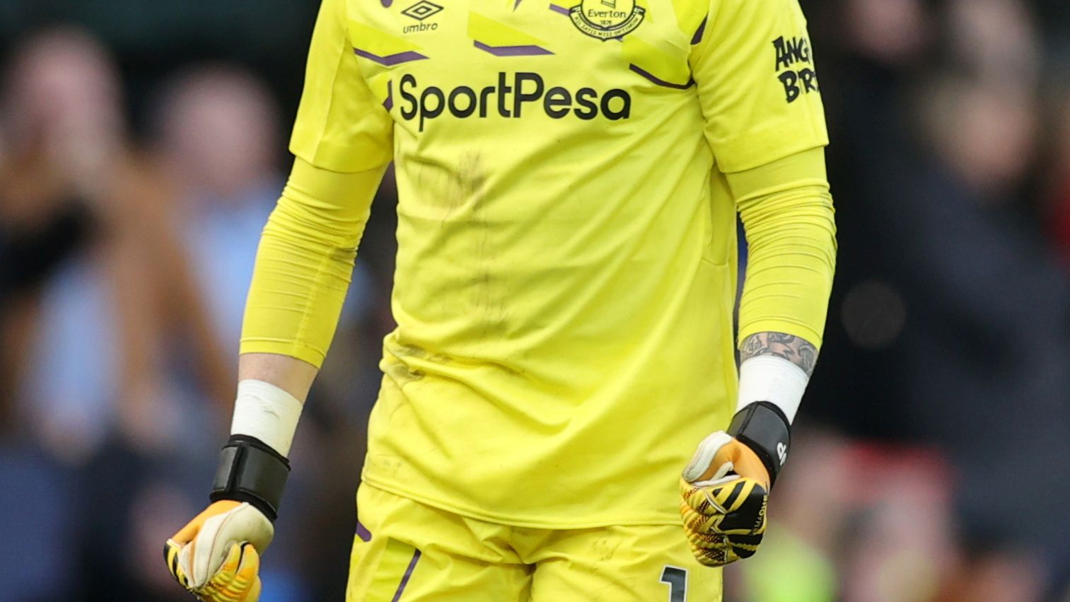 Pickford, durante un partido con el Everton