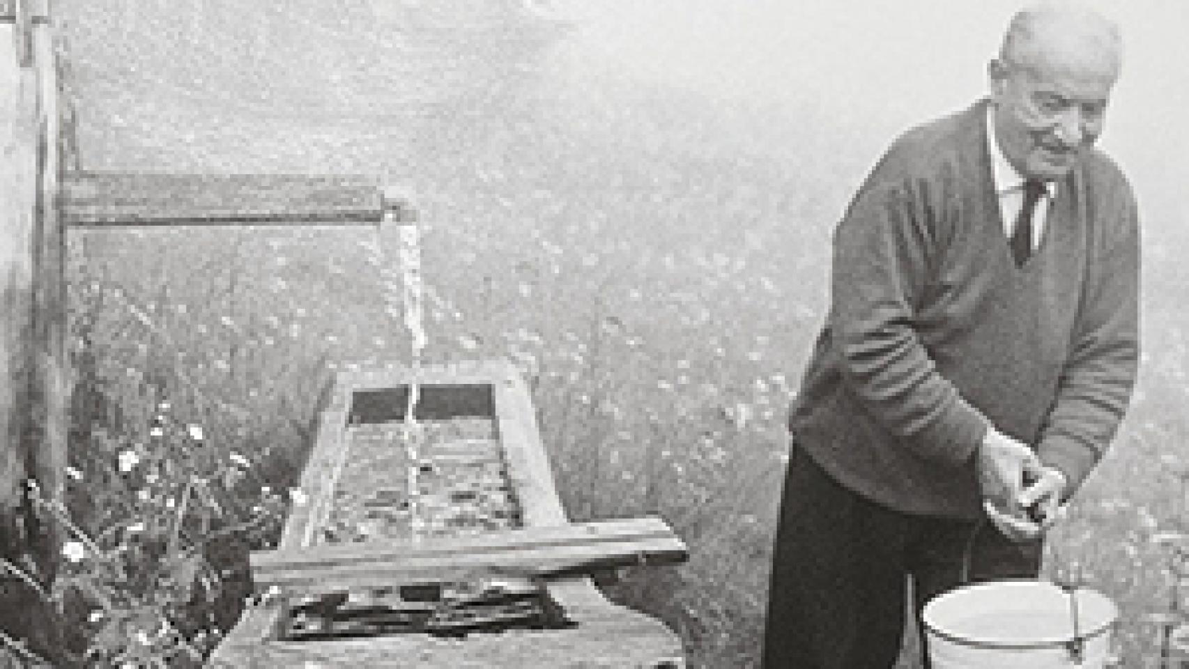 Heidegger