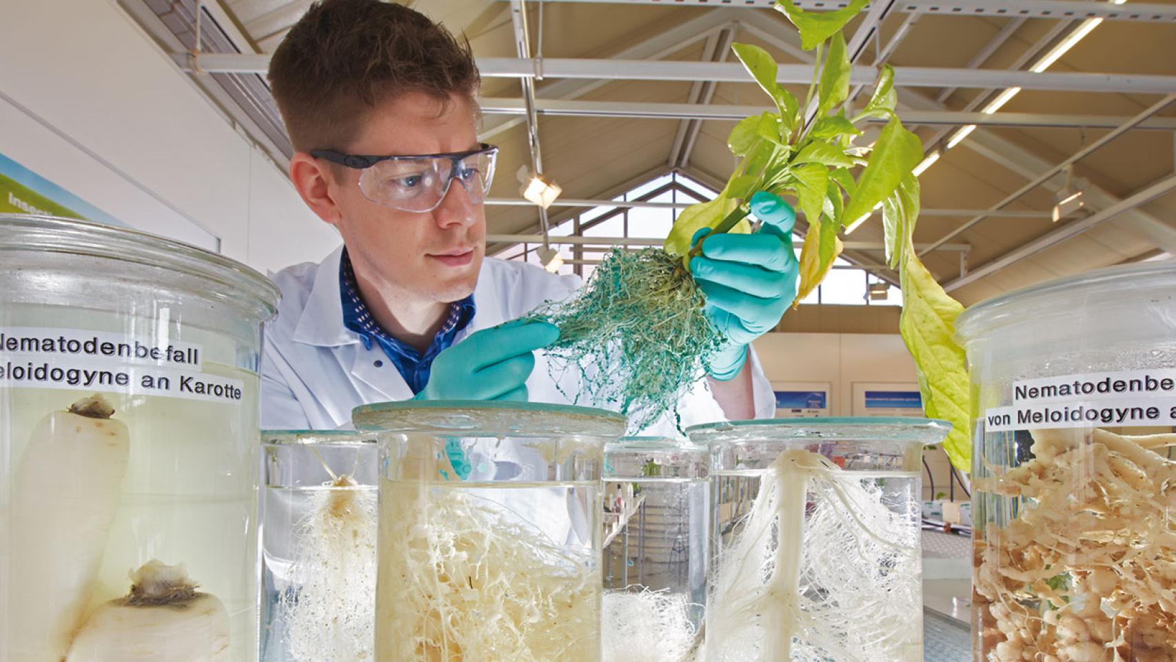 Científicos de Bayer Cropscience en uno de sus laboratorios.