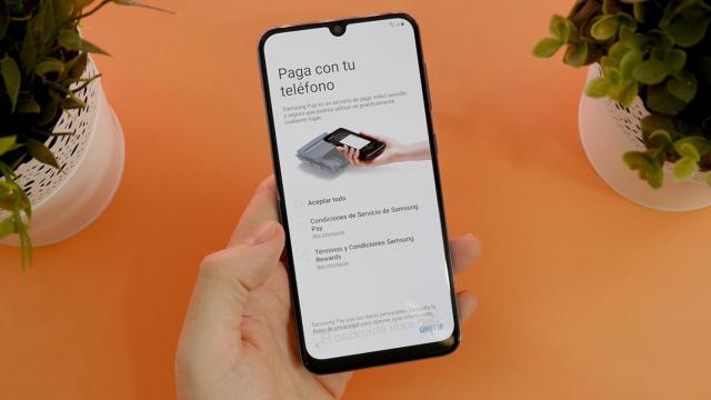 Todo sobre los pagos móviles