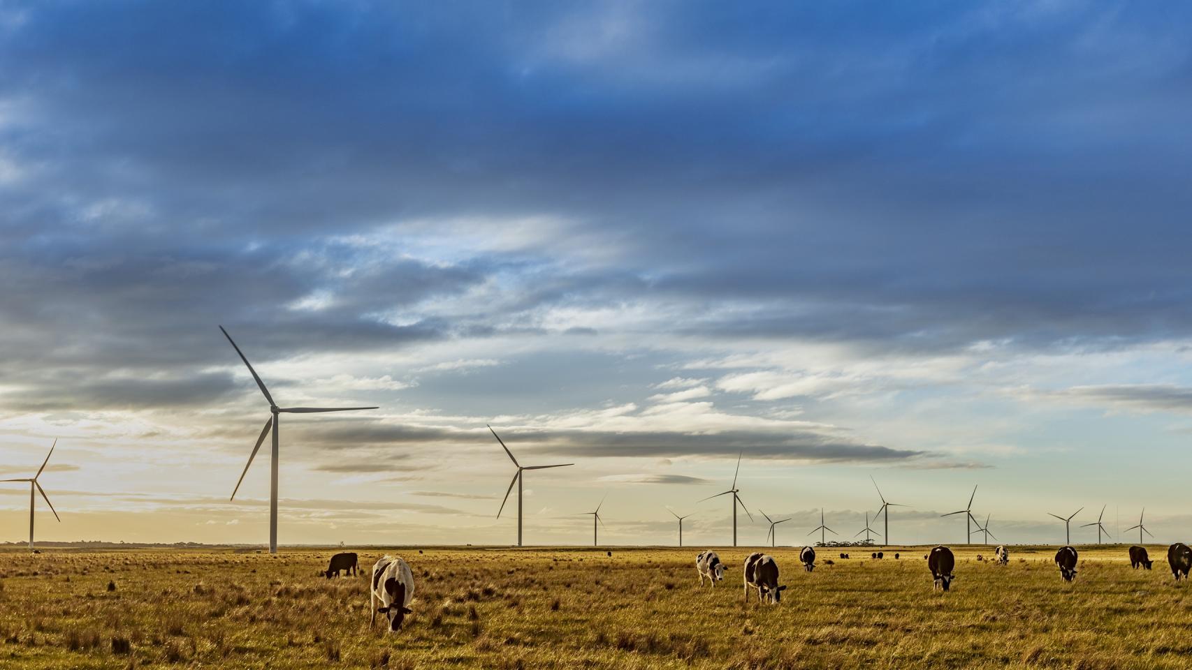 Instalaciones eólicas de Acciona en Australia.