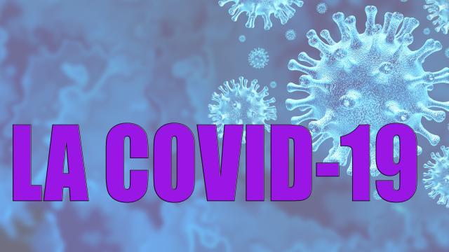 La RAE dice ahora que es la Covid-19: ¿por qué todo lo malo es femenino?