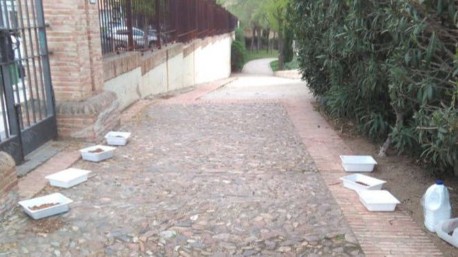 Digital Castilla