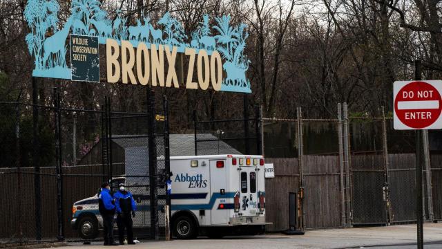 Sanitarios acceden al zoológico del Bronx, en Nueva York.