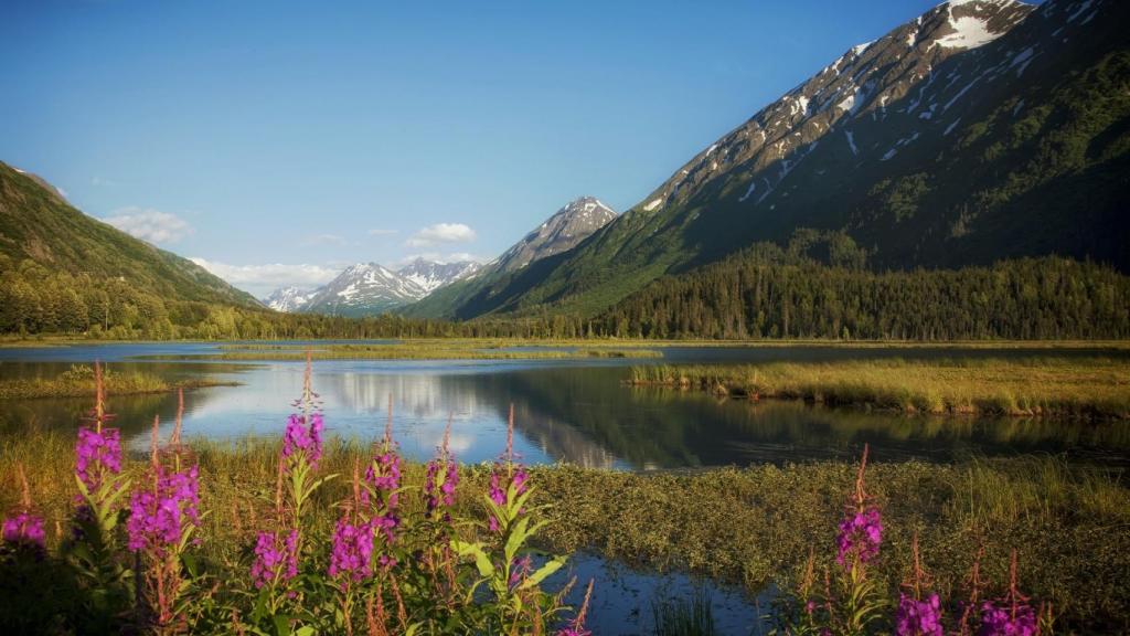 Alaska.