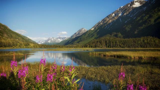 Alaska.