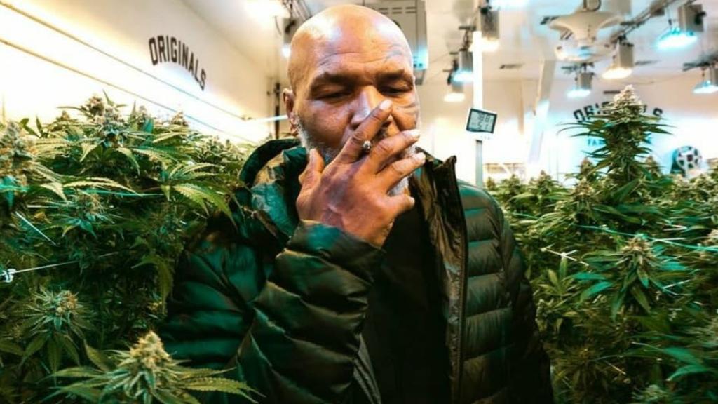 Mike Tyson, en su rancho fumando marihuana