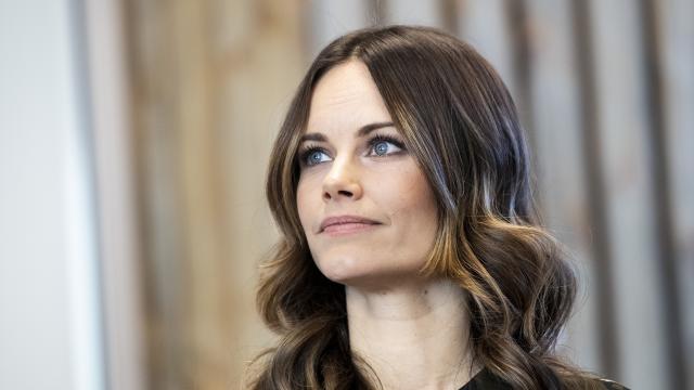 Sofía de Suecia trabajará en un hospital durante la pandemia del coronavirus.