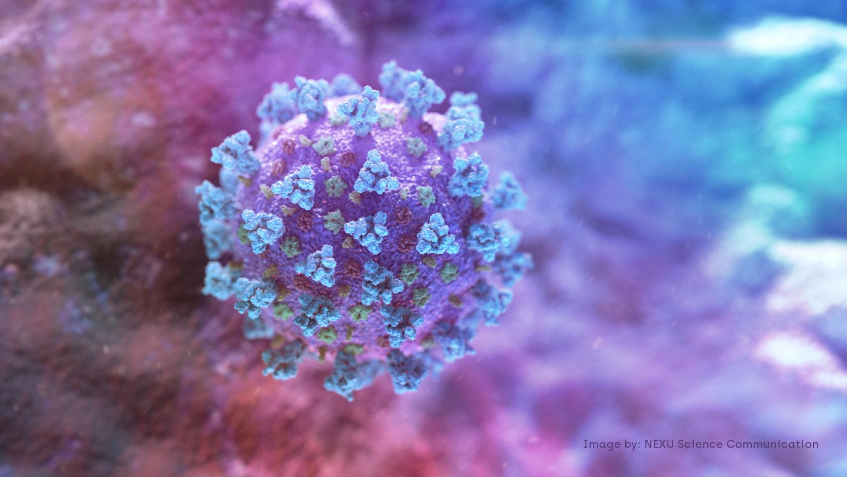 Una recreación por ordenador del nuevo coronavirus Sars CoV-2
