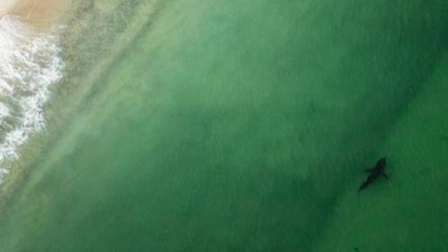 Una imagen del perfil de Twitter de Katharine.