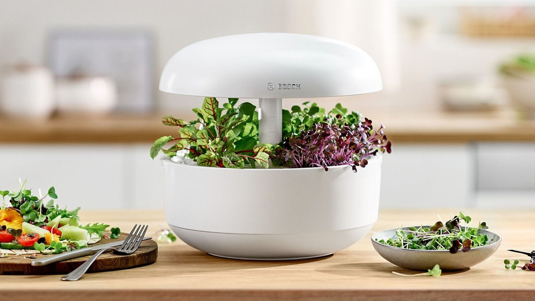 Huerto doméstico de Bosch.