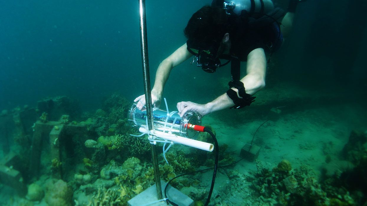 El proyecto CORaiL se está desarrollando en el arrecife que rodea la isla de Pangatalan (Filipinas).