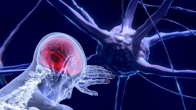 Computación neuromórfica: los cerebros rápidos que están por llegar