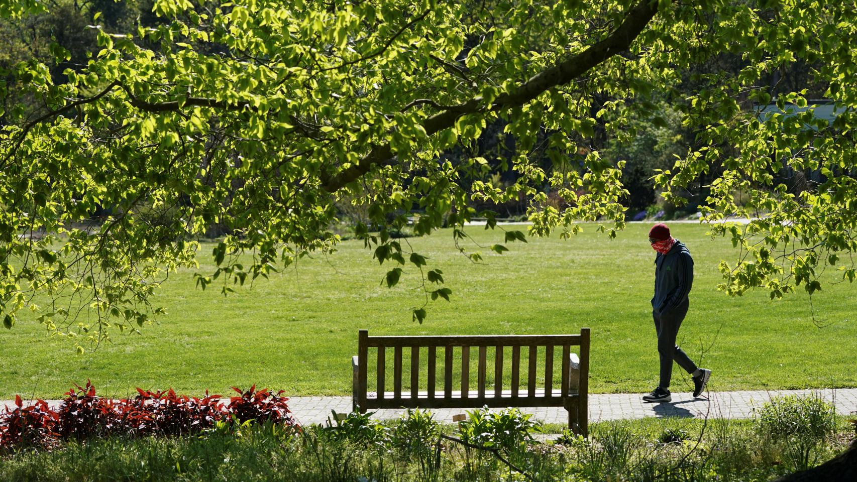 Un hombre paseando en primavera.