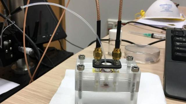 Biosensores de grafeno ‘made in Spain’ para detectar el coronavirus