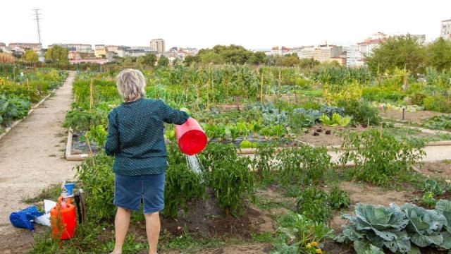 huertos urbanos