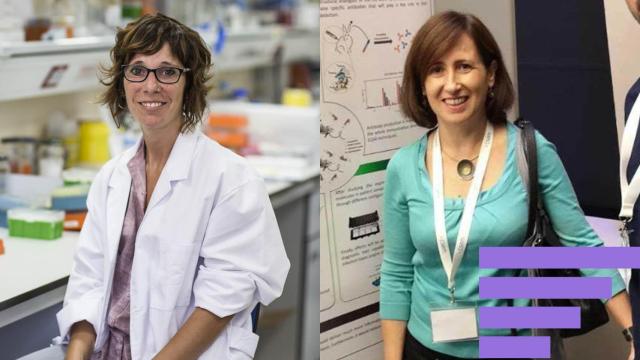 Elena Gómez-Díaz y Pilar Marco, dos científicas del CSIC.