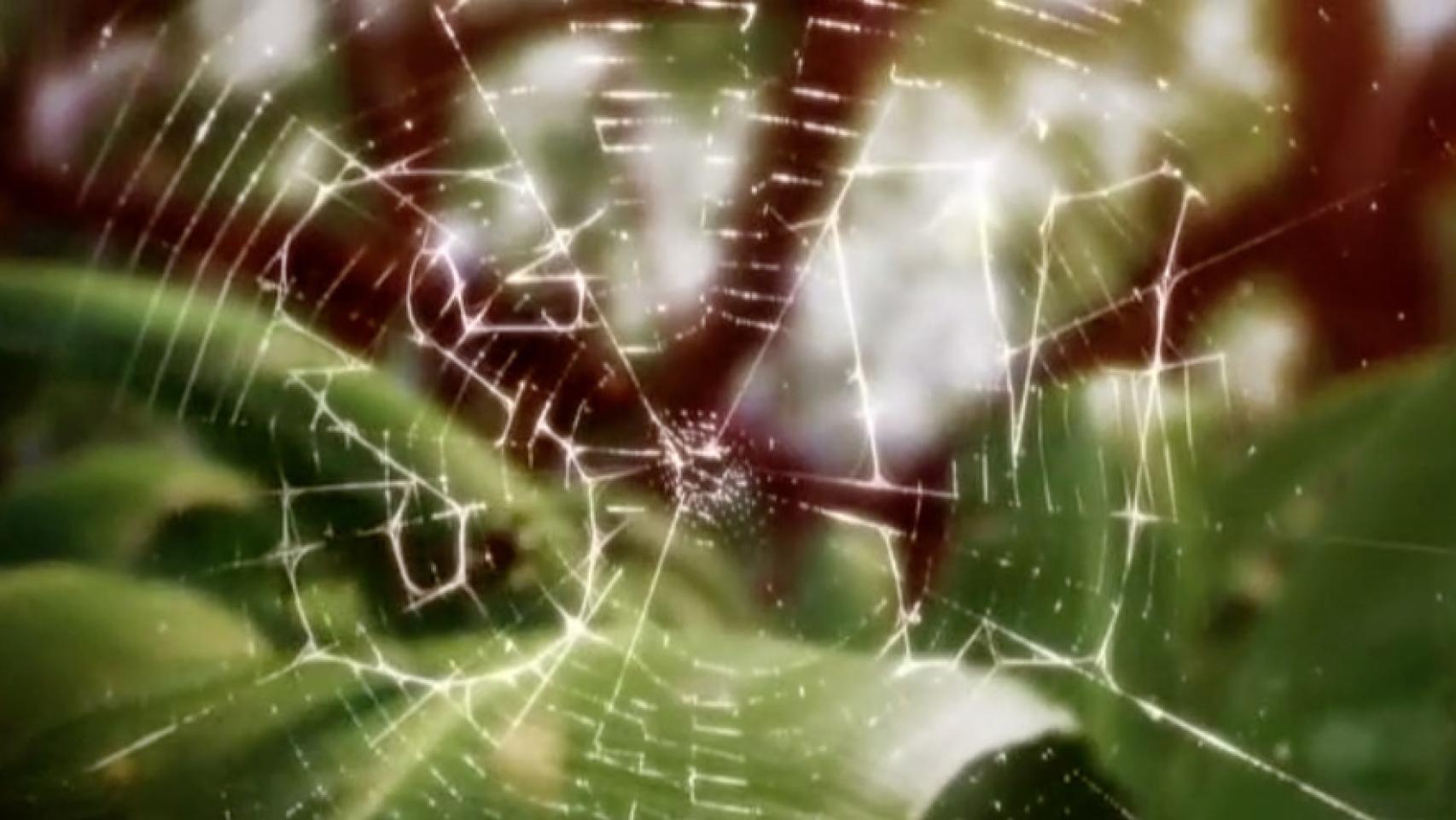 Telecinco inicia la promoción de 'Supervivientes 2016'