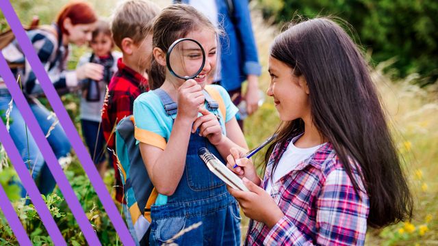 Varios niños y niñas en un campamento de verano.
