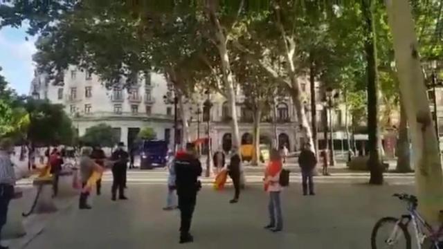 La imagen de los manifestantes sevillanos apercibidos por la Policía