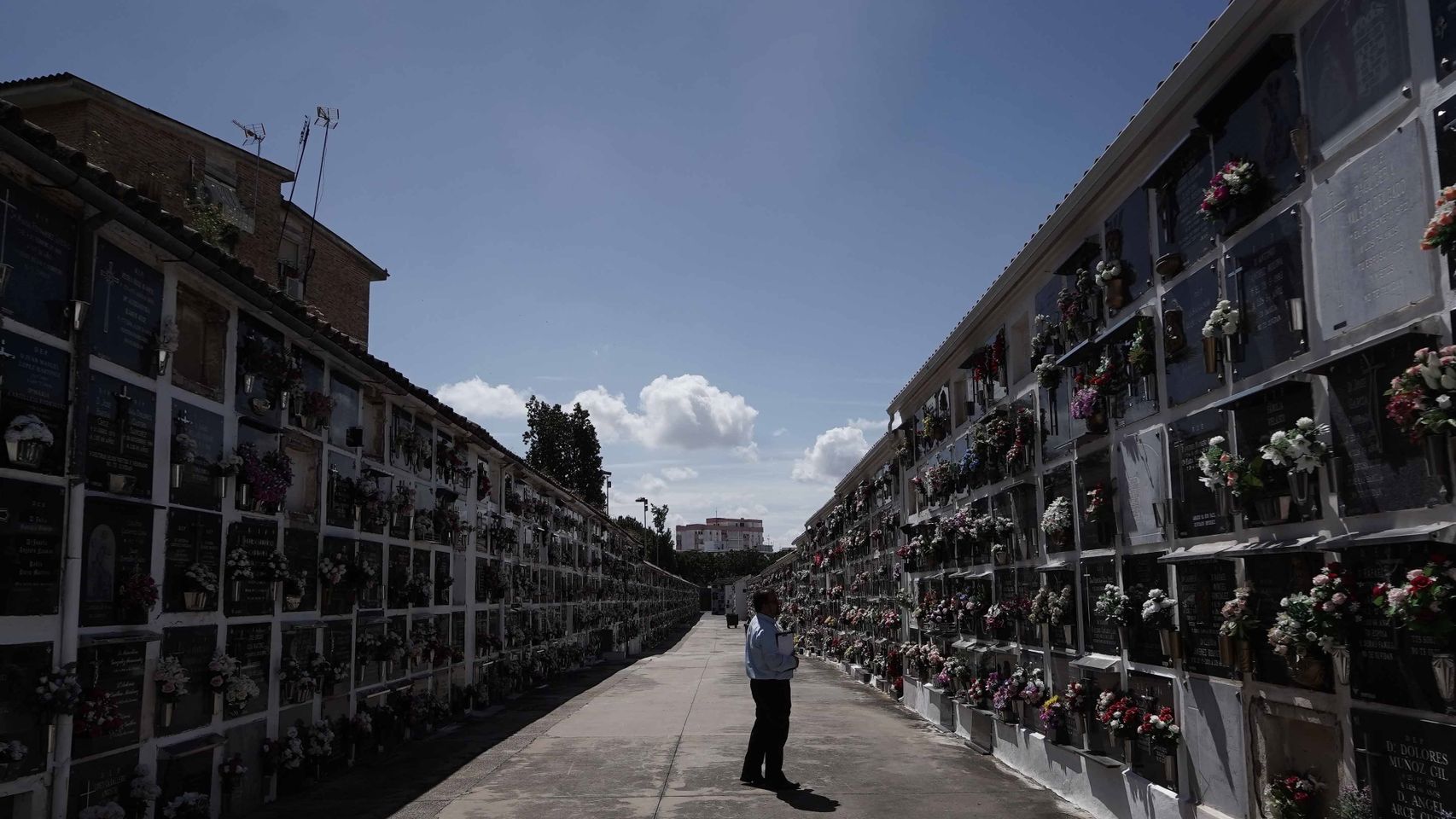 Imagen del cementerio de San Rafael (Córdoba).