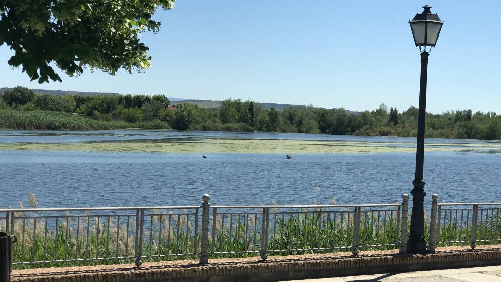 El río Tajo a su paso por Talavera