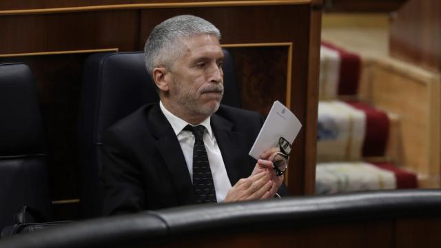 Fernando Grande-Marlaska, ministro del Interior.