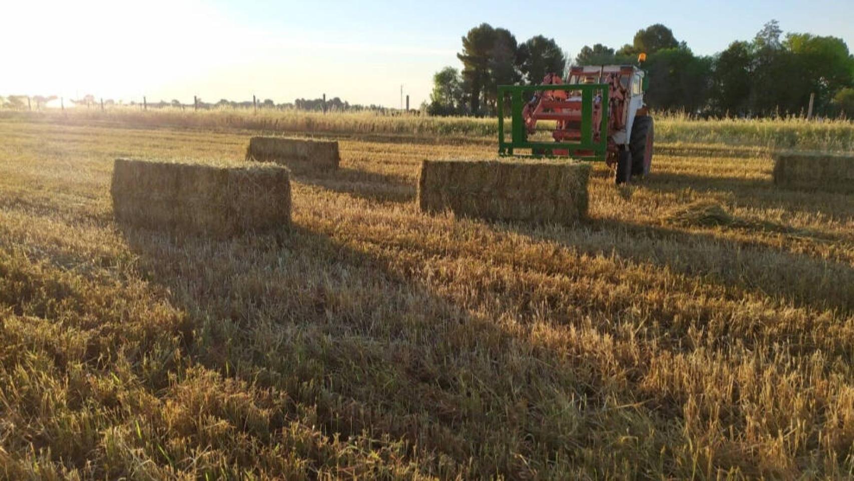 Digital Castilla