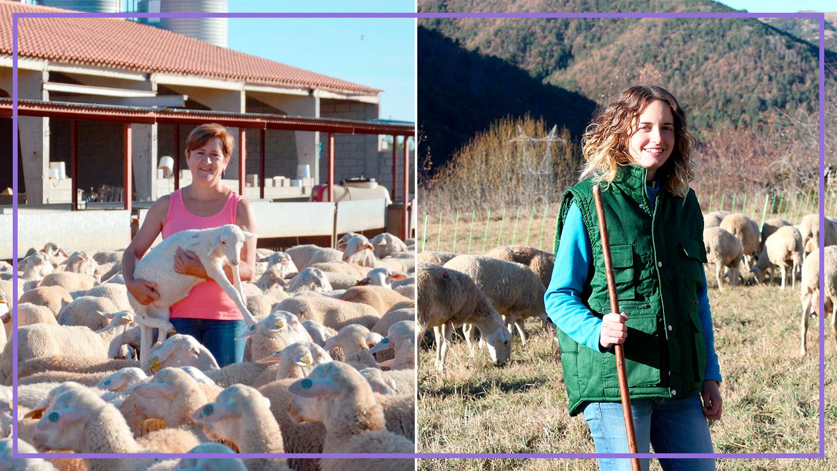 María José y Lorena con sus rebaños.