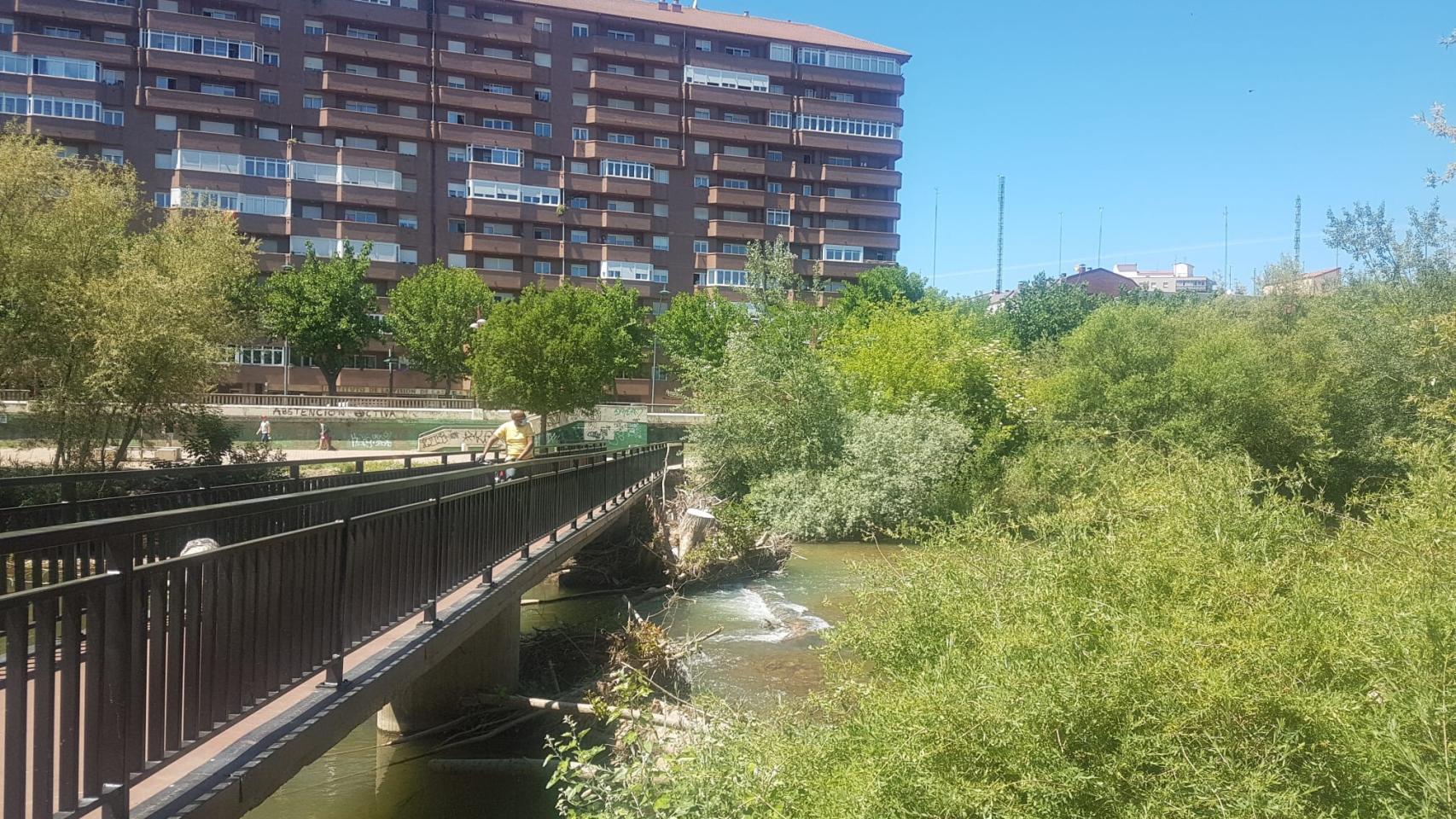 Castilla y León