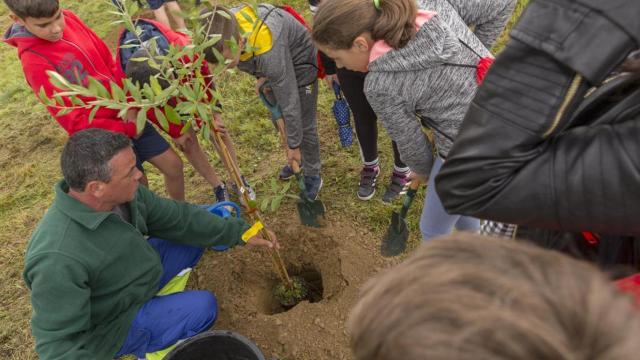 Vegalsa-Eroski gestionó más de 12.000 toneladas de residuos en Galicia el último año