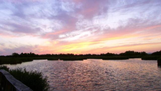 Tablas de Daimiel (Ciudad Real). Imagen de archivo