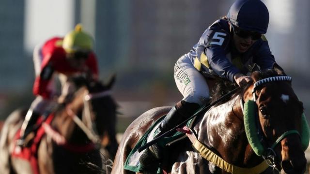 Dos jinetes compitiendo en una carrera de caballos