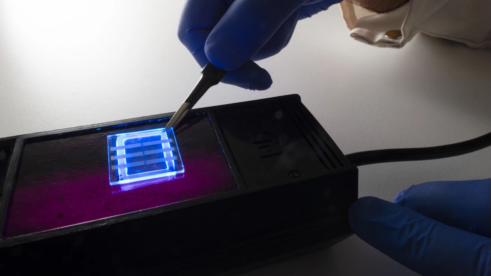 Pantalla OLED creada con pelo.