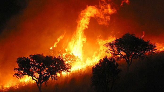 Imagen de archivo de un incendio