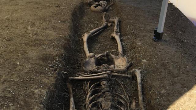 Imagen de la fosa descubierta en Valencia.