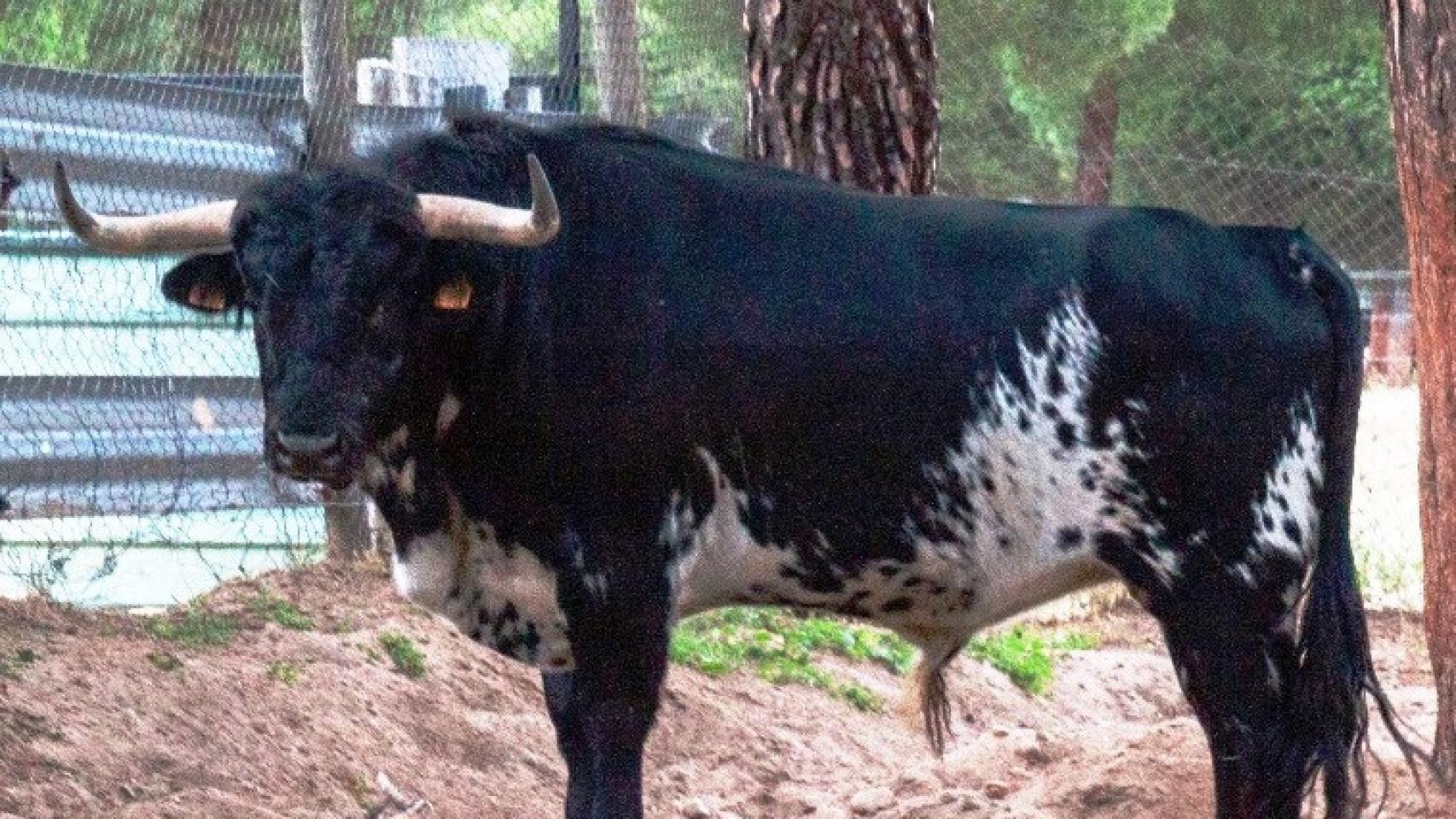 Castilla y León