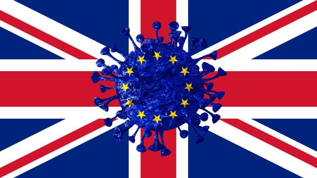 Evento online - ¿Cuál es el futuro del Brexit tras el Covid-19?