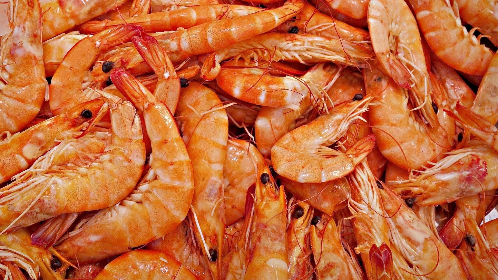 El marisco