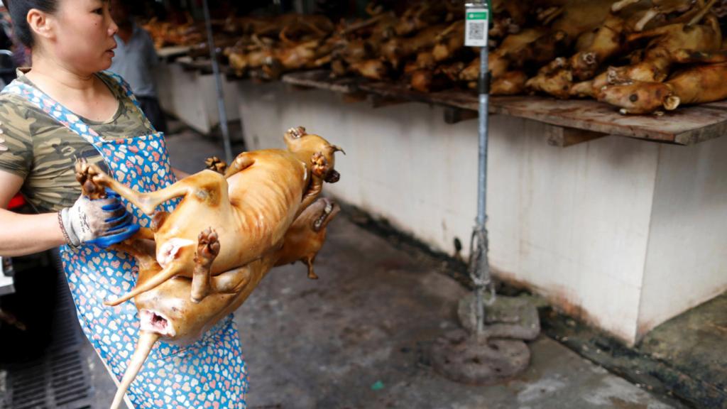 Imagen de archivo del famoso festival de carne de perro en la ciudad china de Yulin.