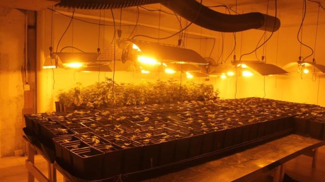 Imagen de archivo de una incautación.